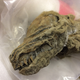 Melting permafrost revealed the wolf mummy.